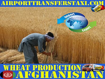 Food Industry Afghanistan - Afghanistan Exports - Made in Afghanistan