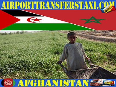 Food Industry Afghanistan - Afghanistan Exports - Made in Afghanistan