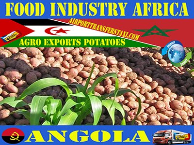 Food Industry Angola Exports : Petroleum & Gas | Diamonds | Coffee | Timber