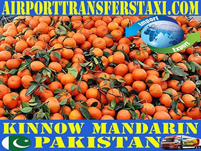 Food Industry Pakistan Logistics & Freight Shipping Pakistan - Cargo & Merchandise Delivery Pakistan