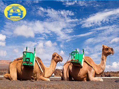 Airport Transfers Taxi Macher Lanzarote
