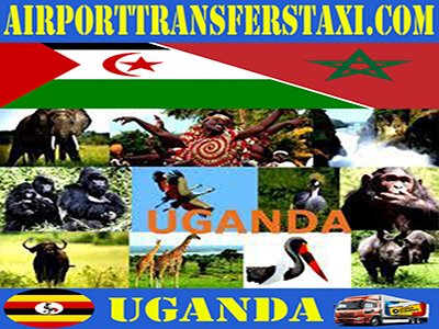 Uganda Best Tours & Excursions - Best Trips & Things to Do in Uganda