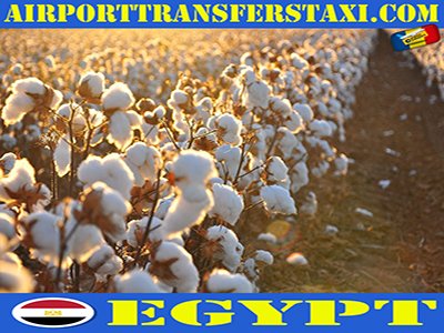 Made in Egypt - Traditional Products & Manufacturers Egypt