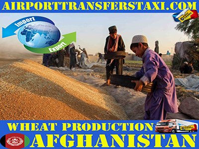 Food Industry Afghanistan - Afghanistan Exports - Made in Afghanistan