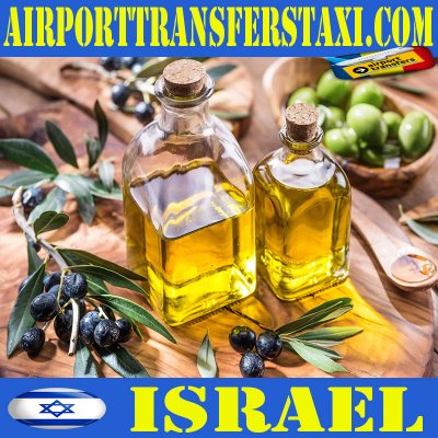 Israel Exports - Imports Made in Israel - Logistics & Freight Shipping Israel - Cargo & Merchandise Delivery Israel
