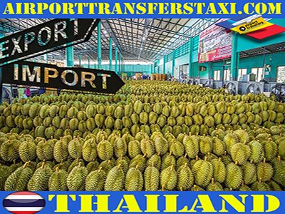 Logistics & Freight Transport Thailand - 🌐airporttransferstaxi.com 📍Phuket Patong Thailand