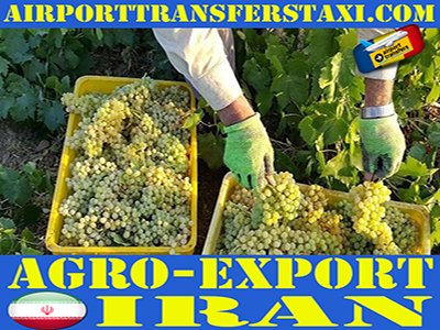 Food Industry Iran Logistics & Freight Shipping Iran - Cargo & Merchandise Delivery Iran