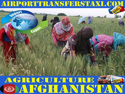 Afghanistan Exports - Made in Afghanistan