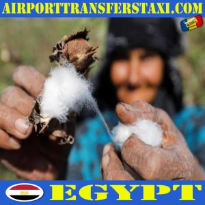 Made in Egypt - Traditional Products & Manufacturers Egypt