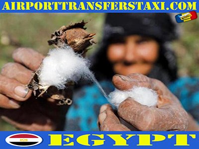 Made in Egypt - Traditional Products & Manufacturers Egypt